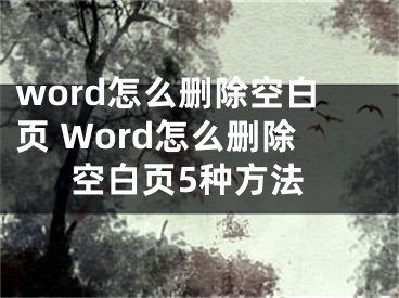 word怎么刪除空白頁(yè) Word怎么刪除空白頁(yè)5種方法