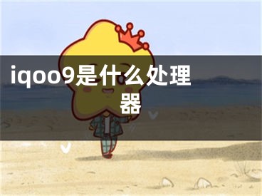 iqoo9是什么處理器