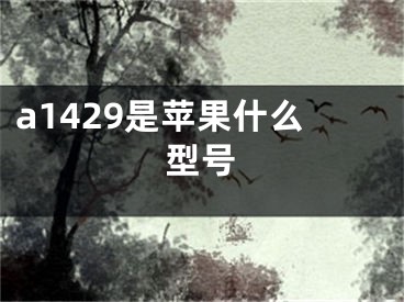 a1429是蘋果什么型號