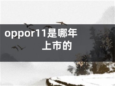 oppor11是哪年上市的