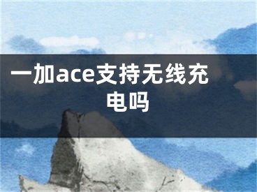 一加ace支持無(wú)線充電嗎