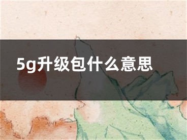 5g升級包什么意思