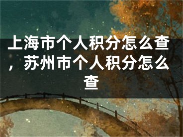 上海市個人積分怎么查，蘇州市個人積分怎么查