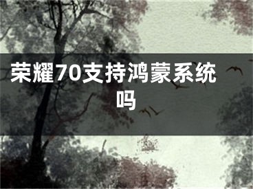 榮耀70支持鴻蒙系統(tǒng)嗎