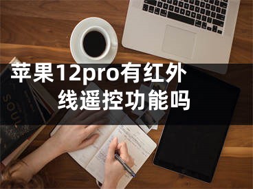 蘋果12pro有紅外線遙控功能嗎