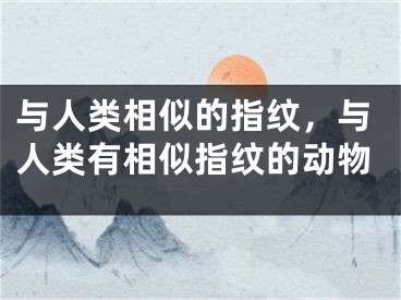 與人類相似的指紋，與人類有相似指紋的動物