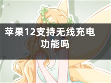 蘋果12支持無線充電功能嗎