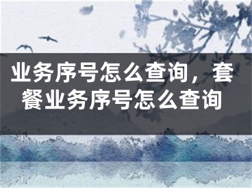 業(yè)務(wù)序號(hào)怎么查詢，套餐業(yè)務(wù)序號(hào)怎么查詢