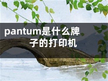 pantum是什么牌子的打印機(jī)