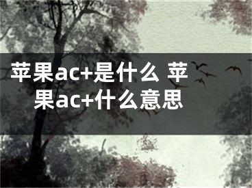 蘋果ac+是什么 蘋果ac+什么意思