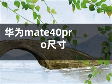 華為mate40pro尺寸