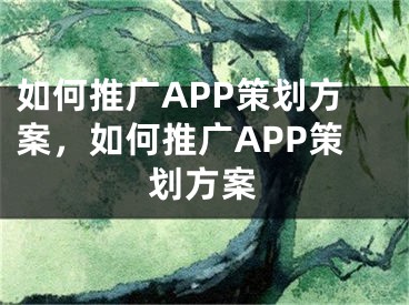 如何推廣APP策劃方案，如何推廣APP策劃方案