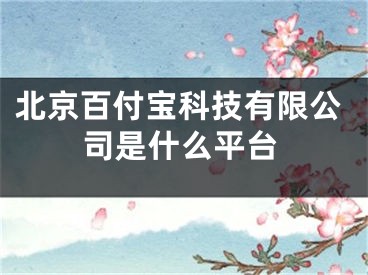 北京百付寶科技有限公司是什么平臺