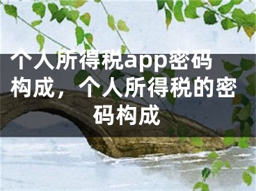 個人所得稅app密碼構(gòu)成，個人所得稅的密碼構(gòu)成