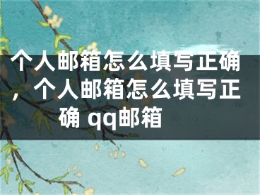 個(gè)人郵箱怎么填寫正確，個(gè)人郵箱怎么填寫正確 qq郵箱