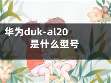 華為duk-al20是什么型號(hào)