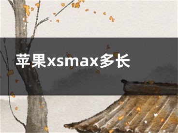 蘋果xsmax多長