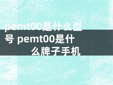 pemt00是什么型號 pemt00是什么牌子手機