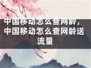 中國移動怎么查網(wǎng)齡，中國移動怎么查網(wǎng)齡送流量