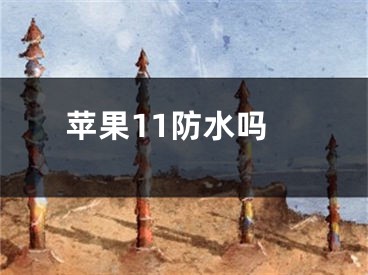 蘋果11防水嗎