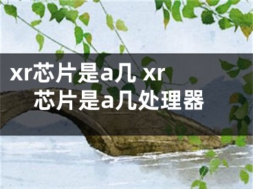 xr芯片是a幾 xr芯片是a幾處理器