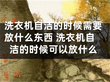 洗衣機自潔的時候需要放什么東西 洗衣機自潔的時候可以放什么