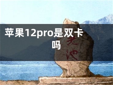 蘋果12pro是雙卡嗎