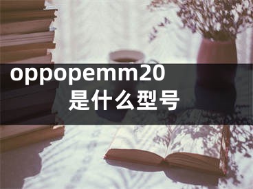 oppopemm20是什么型號