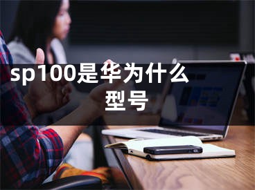 sp100是華為什么型號