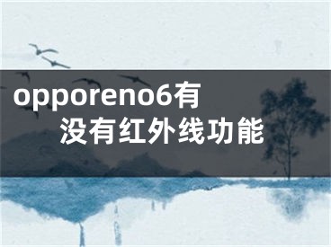 opporeno6有沒有紅外線功能