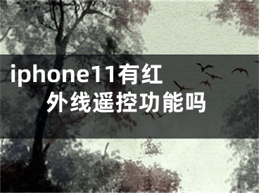 iphone11有紅外線遙控功能嗎