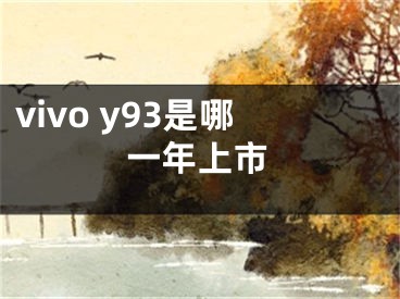 vivo y93是哪一年上市