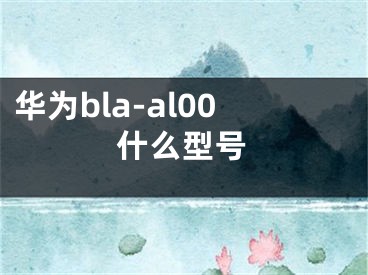 華為bla-al00什么型號