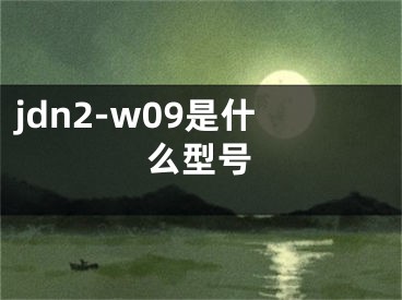 jdn2-w09是什么型號