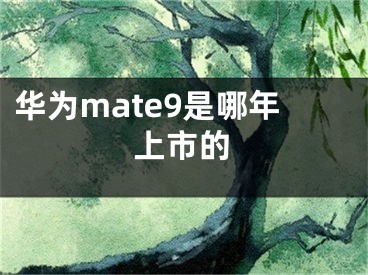 華為mate9是哪年上市的