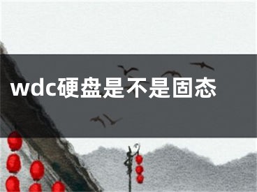 wdc硬盤是不是固態(tài)