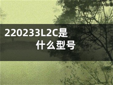 220233L2C是什么型號