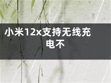 小米12x支持無線充電不