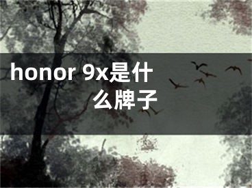 honor 9x是什么牌子