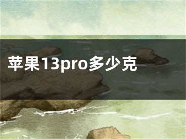 蘋果13pro多少克