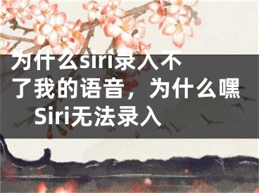 為什么siri錄入不了我的語音，為什么嘿Siri無法錄入