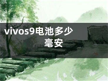 vivos9電池多少毫安