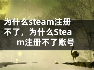 為什么steam注冊(cè)不了，為什么Steam注冊(cè)不了賬號(hào)