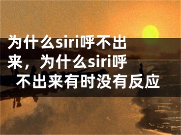 為什么siri呼不出來，為什么siri呼不出來有時(shí)沒有反應(yīng)