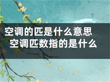 空調(diào)的匹是什么意思 空調(diào)匹數(shù)指的是什么