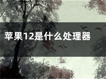 蘋果12是什么處理器