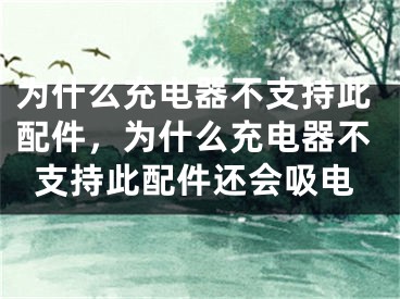 為什么充電器不支持此配件，為什么充電器不支持此配件還會吸電