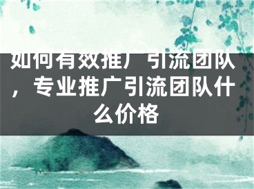 如何有效推廣引流團隊，專業(yè)推廣引流團隊什么價格