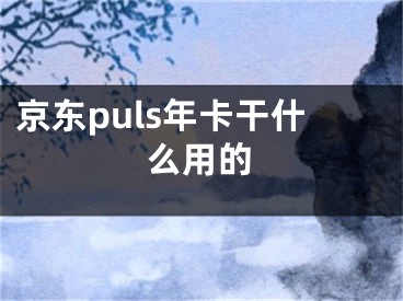 京東puls年卡干什么用的