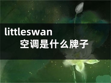 littleswan空調(diào)是什么牌子